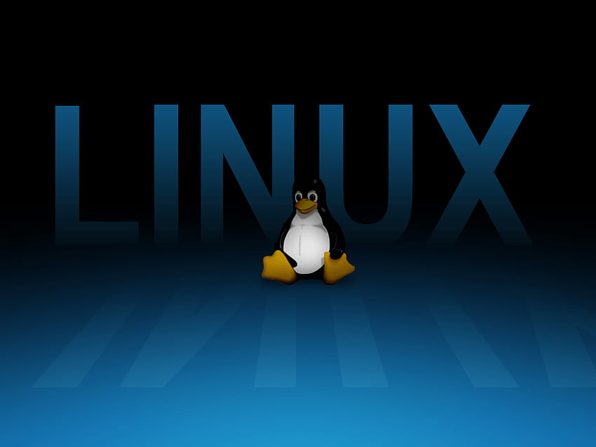 Tux Linux, Linux-Pinguin HD-Hintergrundbild