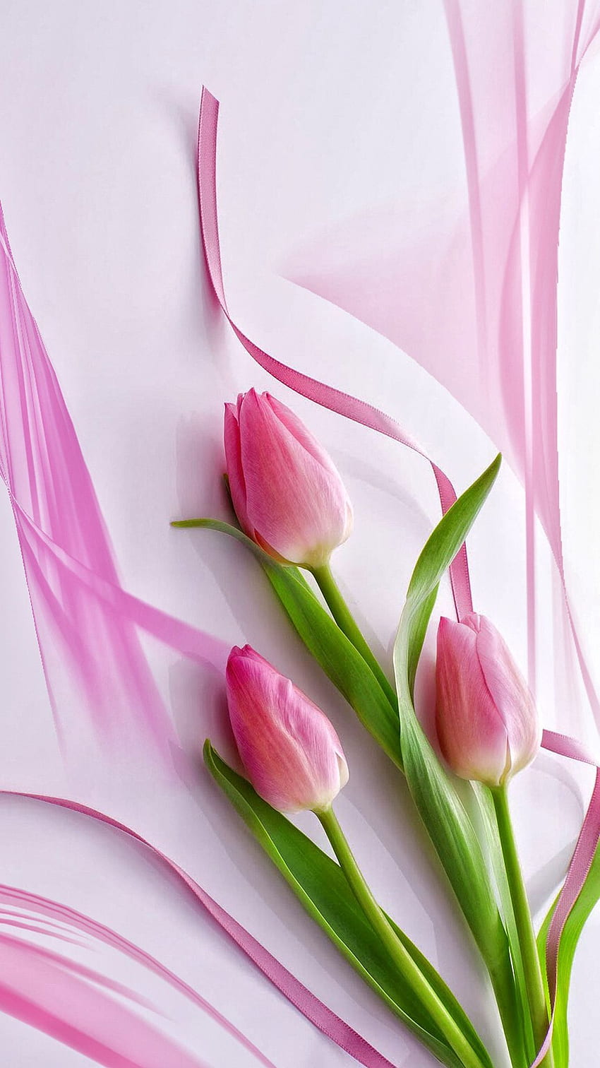 Gracie Pantig am Telefon. Tulpenblumen, rosa Tulpe HD-Handy-Hintergrundbild
