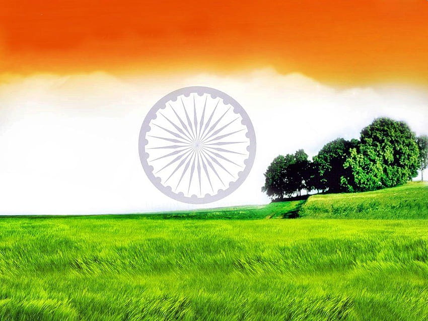 재배자가 전통적인 방법으로 되돌아감에 따라 인도에서 유기농업이 번창합니다. 독립기념일, 독립기념일, 행복한 독립기념일, 인도 농부 HD 월페이퍼