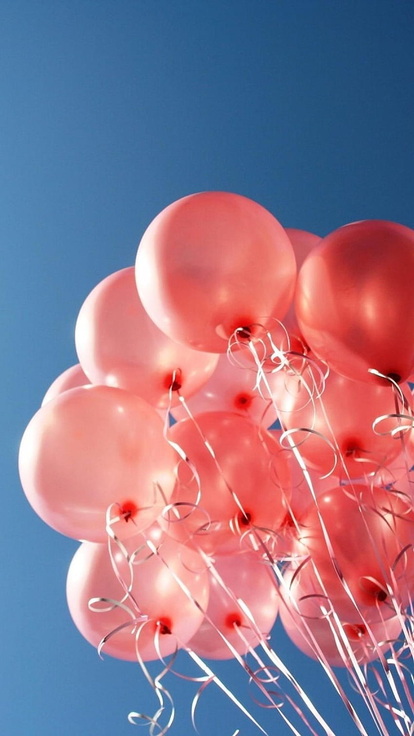 Pink balloons. Balonlar, Resimler, iPhone duvar kağıtları HD phone wallpaper