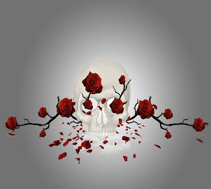 Schädel mit Rosen, weiß, grau, Rosen, Kunst, Schädel, schön, Schönheit, abstrakt, rot, Blumen, schön HD-Hintergrundbild