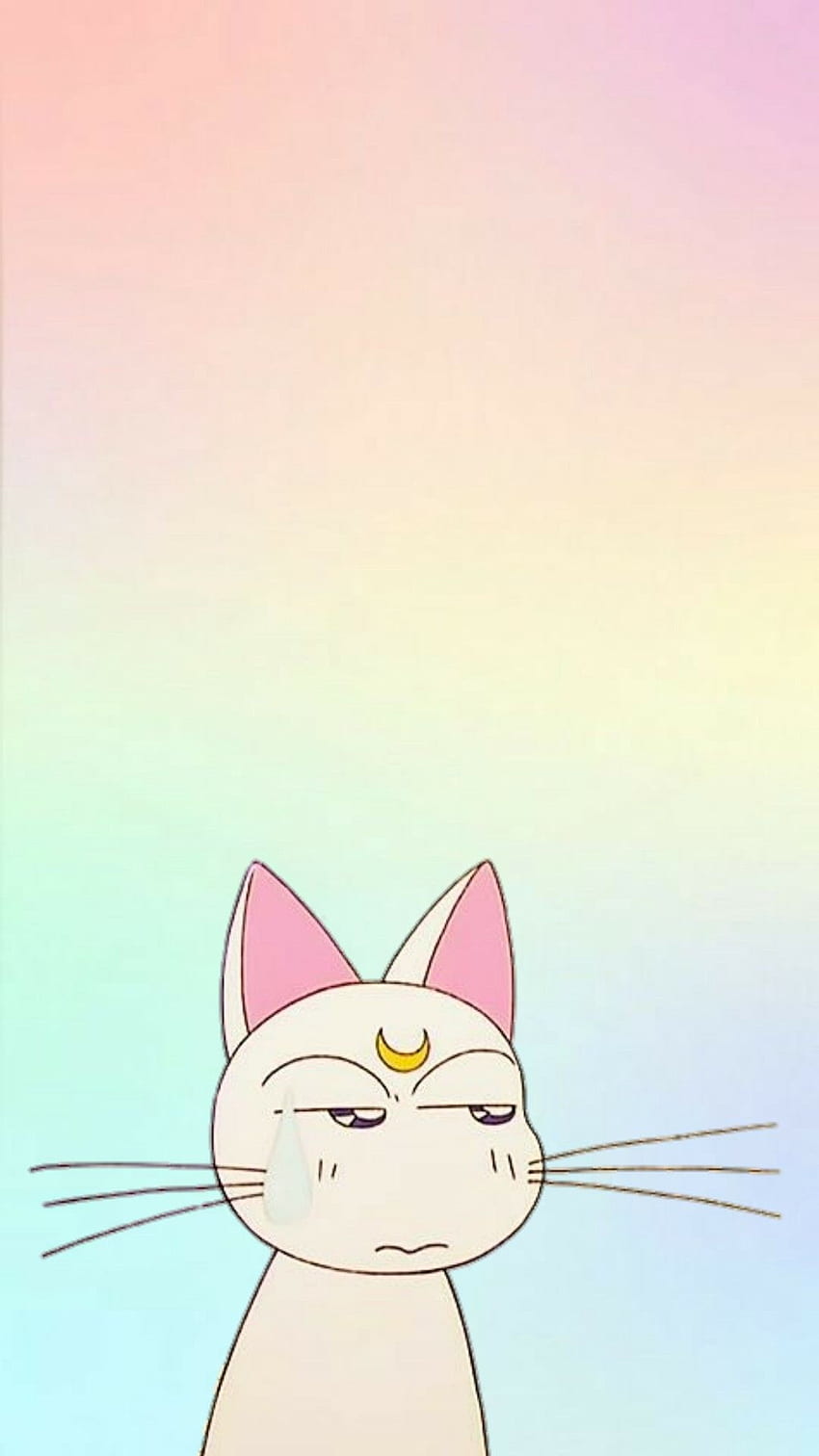 Aesthetic Sailor Moon Background, on Jakpost, Sailor Moon Cats HD phone wallpaper
