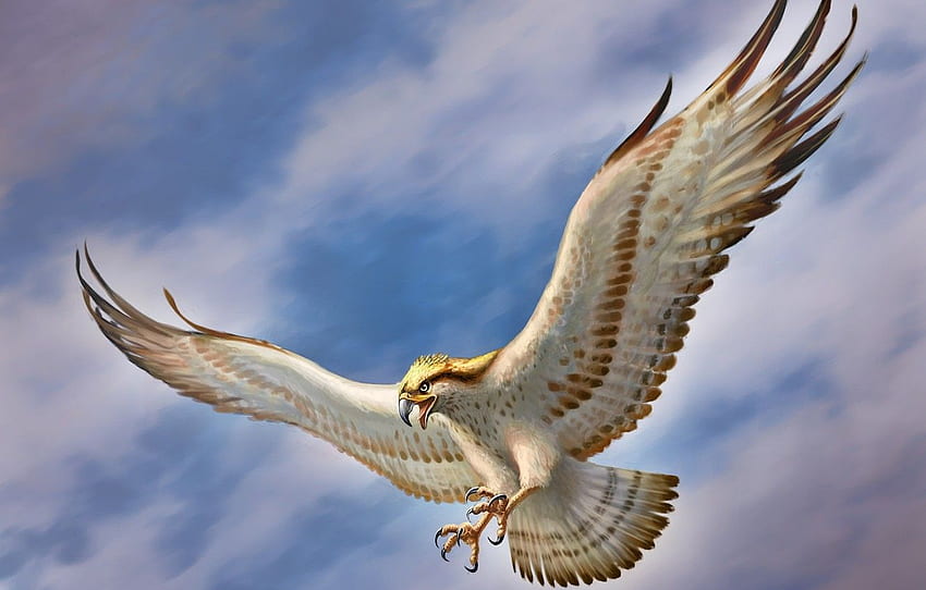 the sky, bird, wings, art, Falcon for , section живопись, Bird Painting HD wallpaper