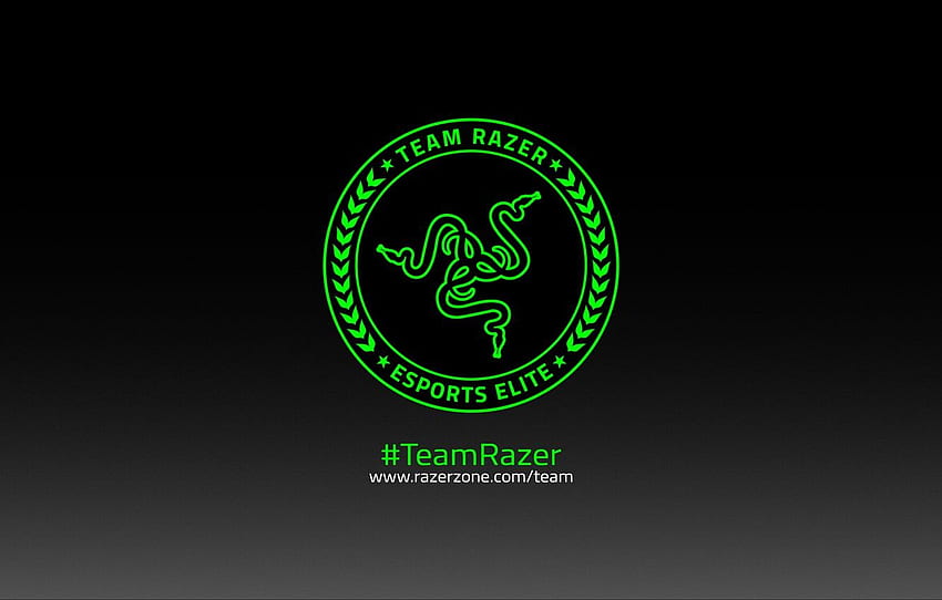 Art, Green, Black, Logo, Razer, White, Hi Tech, Minimalism, Team Razer For , Section Hi Tech HD wallpaper