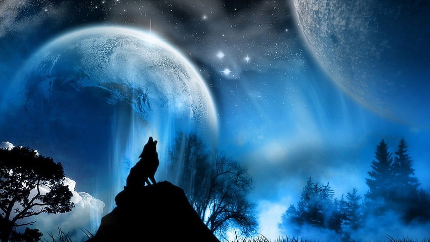 Wolf Howling at Full Moon . Sketches. Wolf, Blue Howling Lion HD wallpaper