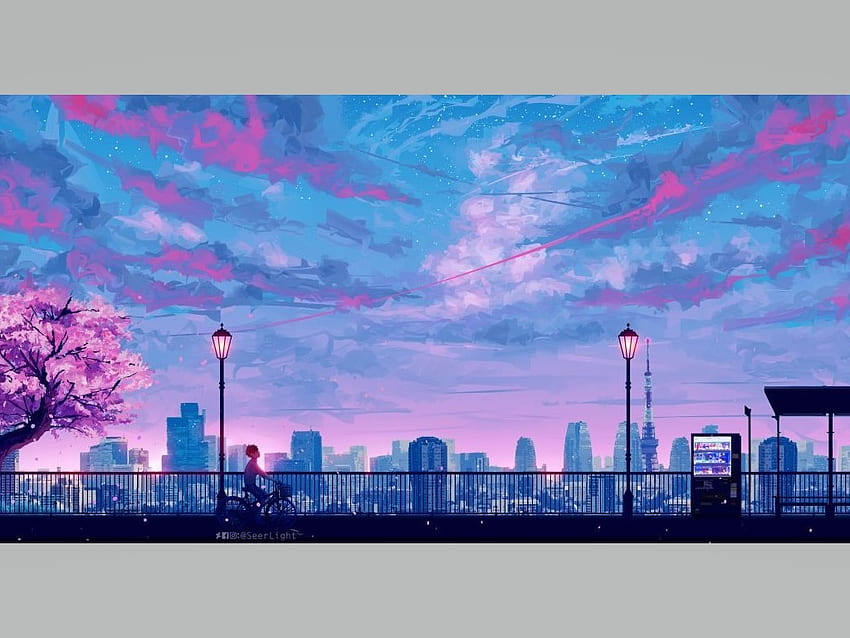 City, blossms, pink, sunset HD wallpaper | Pxfuel
