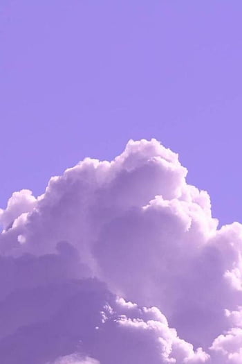 Light Purple Background Images  Browse 1488127 Stock Photos Vectors  and Video  Adobe Stock