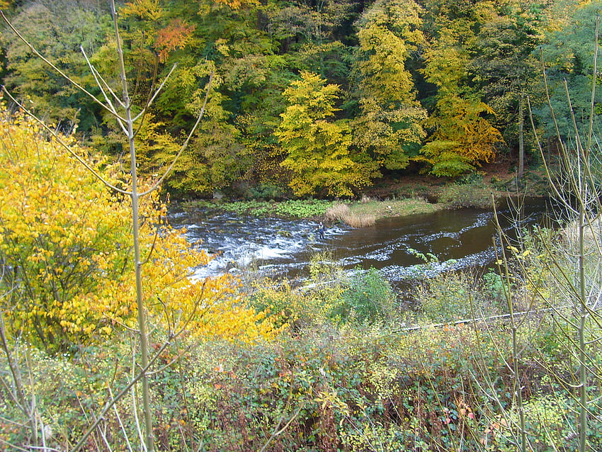 Colores de otoño, pescador, distrito pico, belleza natural, encanto fondo de pantalla