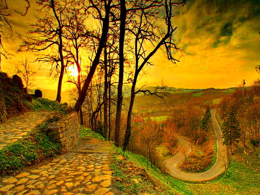 The start of a new day, sunlight, sunrise, bright, road, sun, sunset, sunshine, golden, path, tree, stones, field, yellow, new day, clouds, nature, sky HD wallpaper