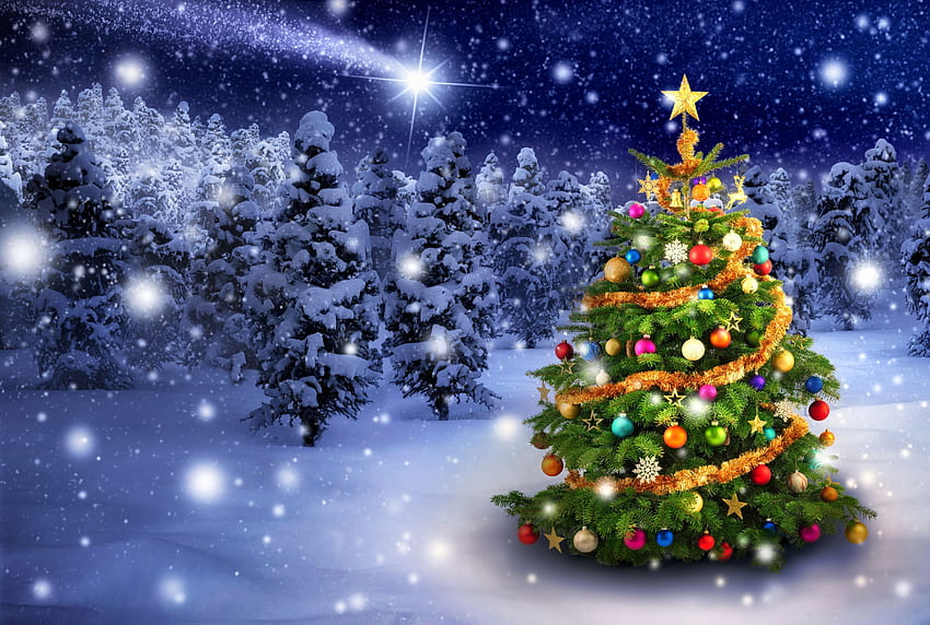 Christmas Tree, winter, decoration, firs, snow, landscape, sky, stars HD wallpaper