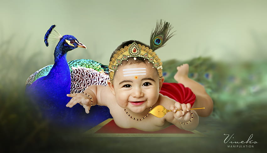 child god murugar. Baby hoot boy, Cute kids graphy, Baby buddha, Baby Murugan HD wallpaper