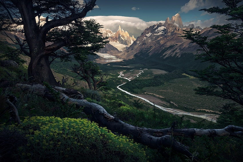 Green Leafed Trees Painting, Nature, Landscape, Dark - Max Rive Patagonia - & Background HD wallpaper