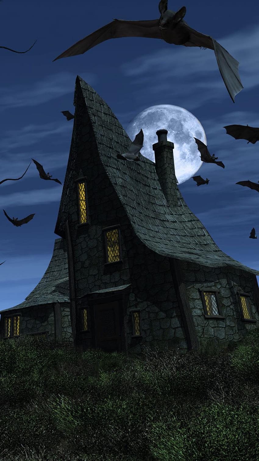 Happy APPS: Haunted House Live , Scary Haunted House HD phone wallpaper