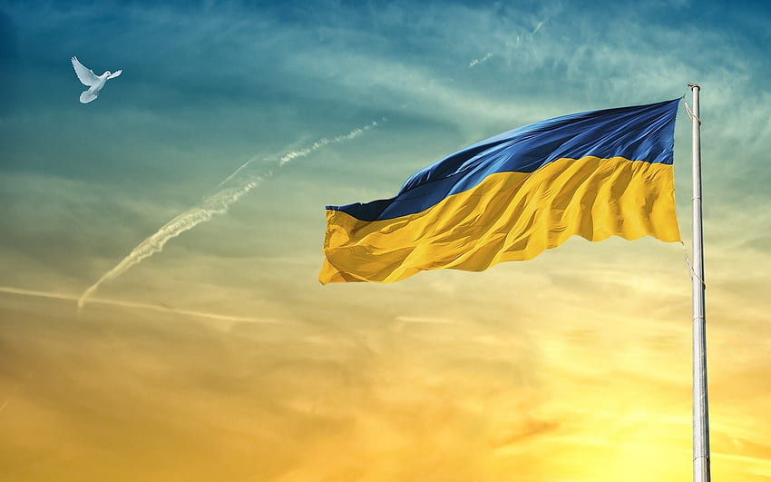 Мир за Украйна!, небе, Украйна, гълъб, знаме HD тапет