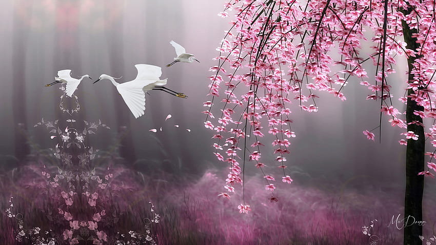 Blühender Kirschbaum, Kraniche, Frühling, Japan, Kirschbaum, Sakura, Blüten, orientalisch, asiatisch, Blumen, Blüten HD-Hintergrundbild