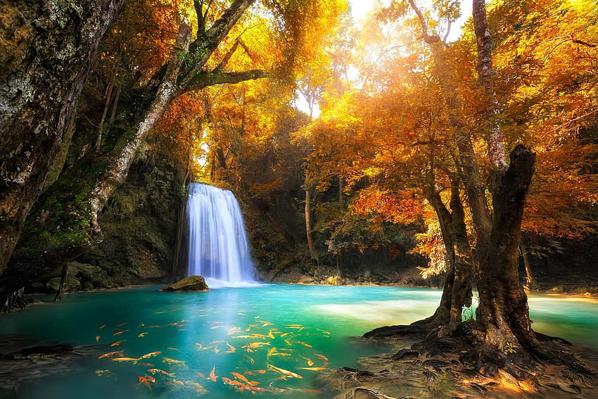 Pond and Background, Zen Waterfall HD wallpaper