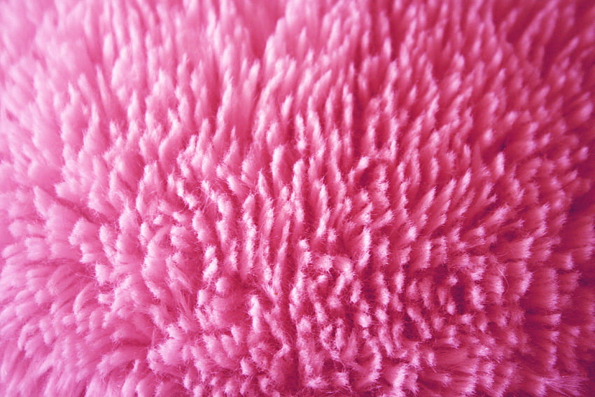 Pink Fuzzy HD wallpaper