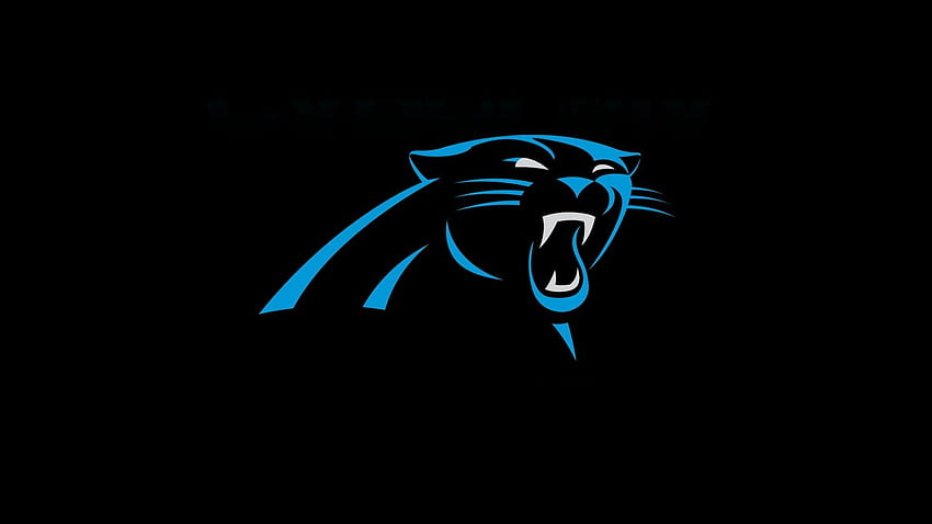 Carolina Panthers . 2020 NFL Football HD wallpaper