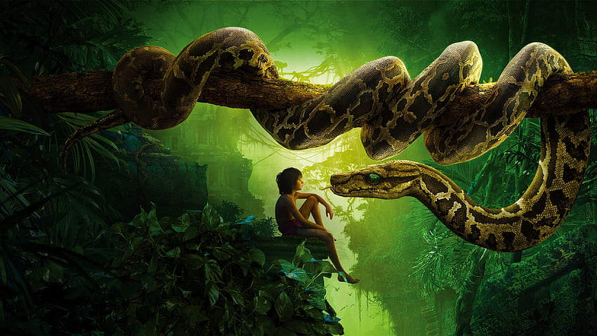 Jungle Book Snake Kaa Mowgli in jpg 형식, 3D 책 HD 월페이퍼