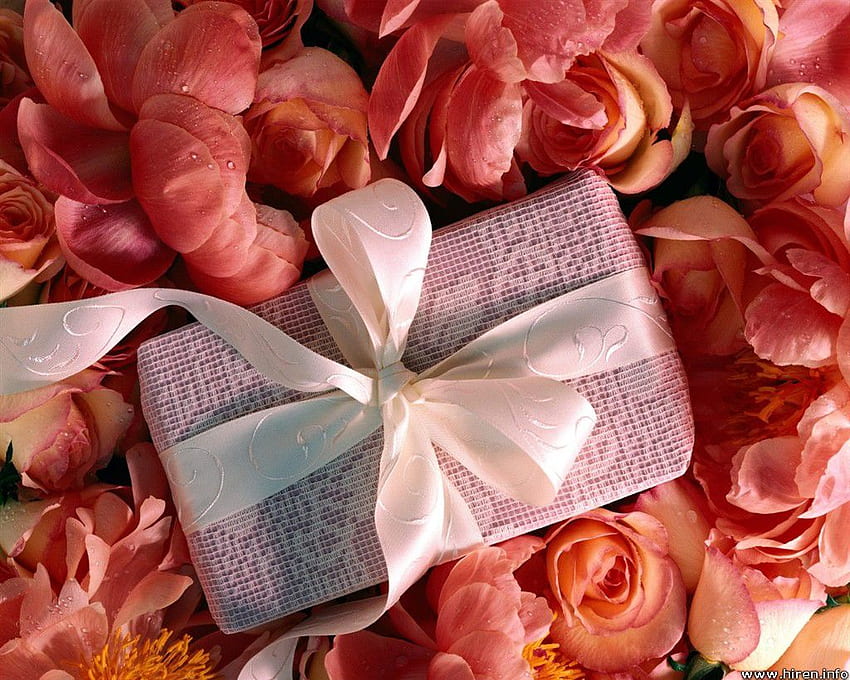 Petals and lace, ribbon, rose petals, present, flowers, gift HD wallpaper
