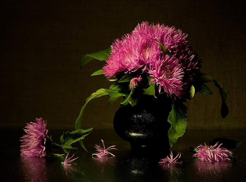 Keanggunan, lukisan alam benda, merah muda, hitam, kelopak, vas bunga, indah, bunga Wallpaper HD