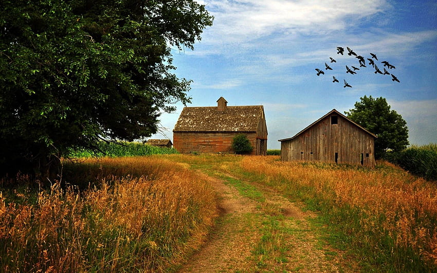 Farm Scene, Cute Farm HD wallpaper | Pxfuel