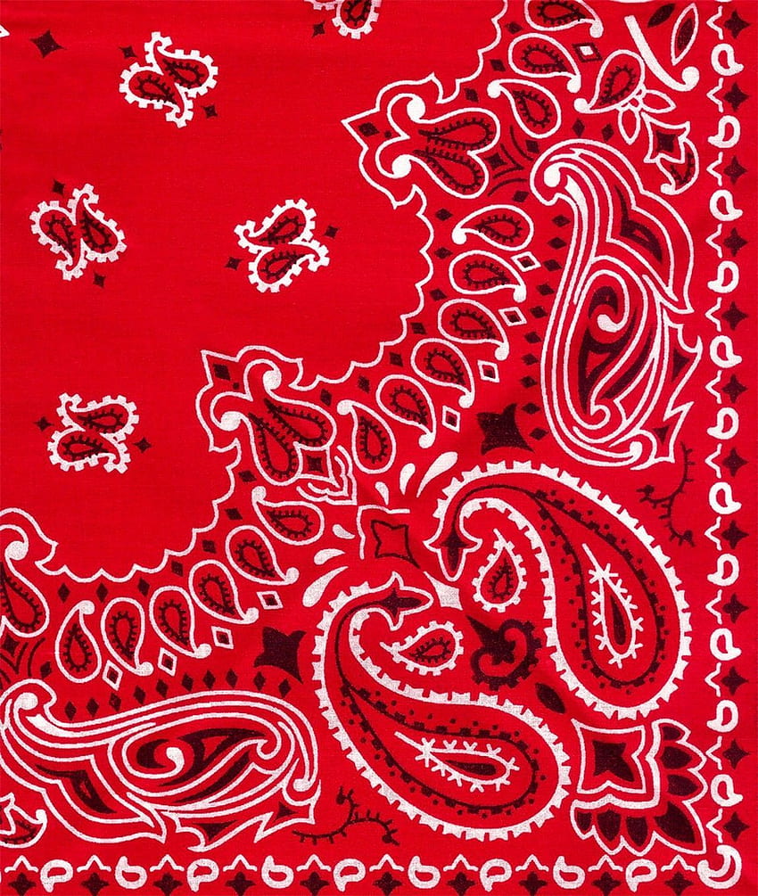 Cotton Latest Digital Printed Fabric Geometric Multicolour
