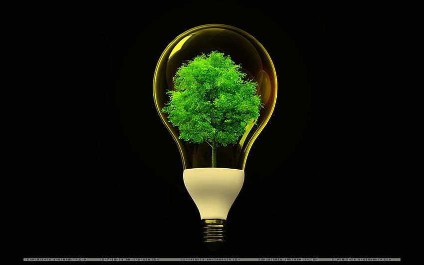 Electric Energy –, Sustainable Energy HD wallpaper
