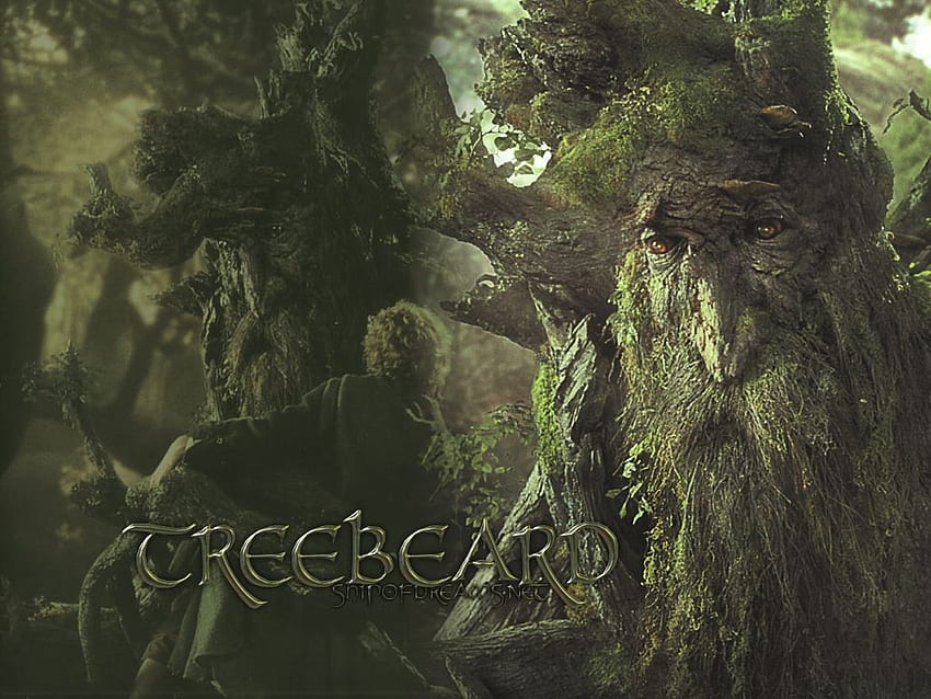 Ent Ent Treebeard - Minas Tirith - Penguasa Cincin Wallpaper HD