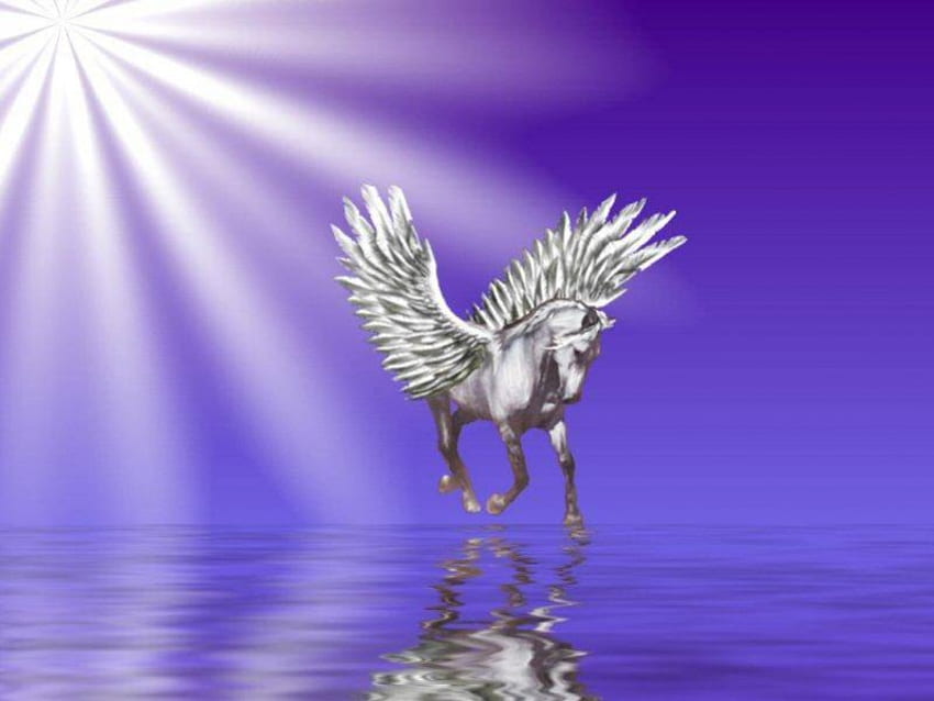 Pegasus on Water, luz do sol, pegasus, água papel de parede HD