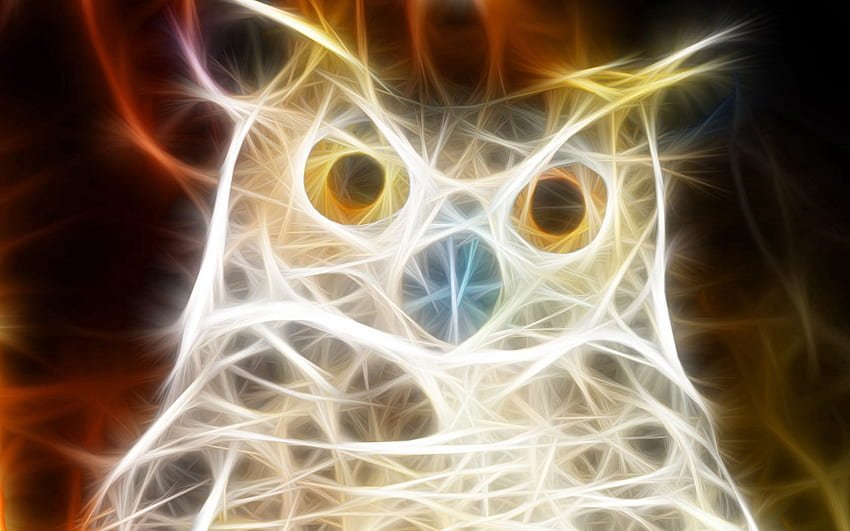 Abstract, Owl, Shine, Light, Bird, Brilliance HD wallpaper