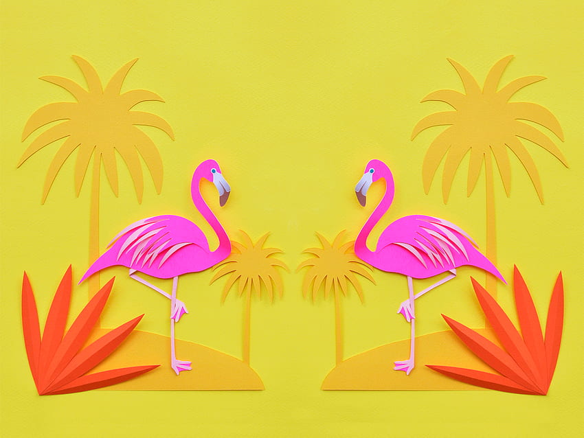 Flamingo , Cute Flamingo HD wallpaper