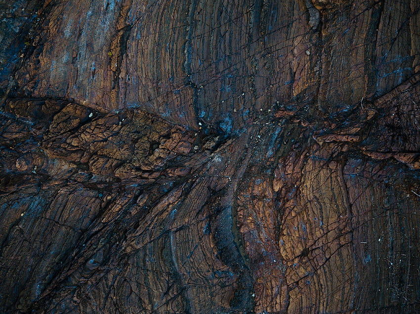 Madeira, Árvore, Molhado, Textura, Texturas, Superfície, Úmido papel de parede HD