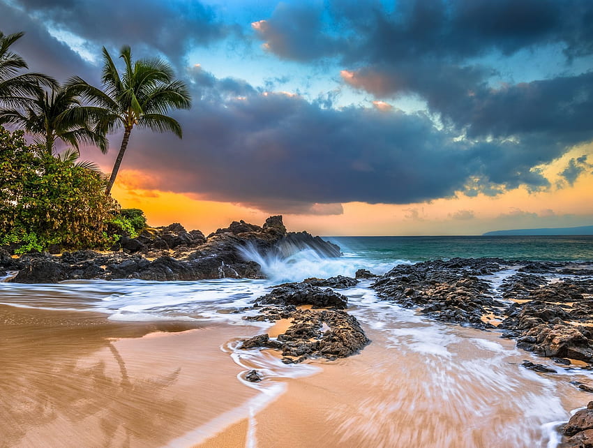 Große Aufnahme. Palm Beach Sunrise, 88,5 Kbyte, Hawaii Dual Screen HD-Hintergrundbild