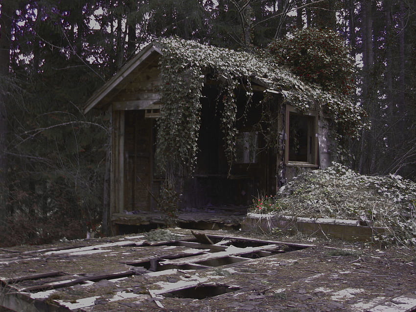 Piccola casa in decomposizione e grande ponte, vicino al lago, boschi profondi, casa di una stanza, degrado Sfondo HD