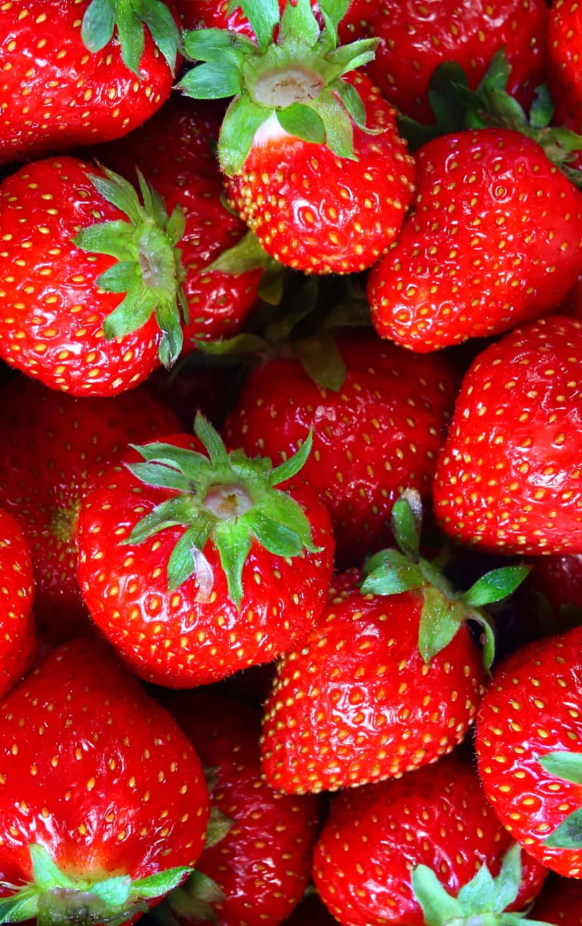 fresh, fruit, strawberry , iphone 5, iphone 5s, iphone 5c, ipod touch, , background, 21812, Fruit HD phone wallpaper