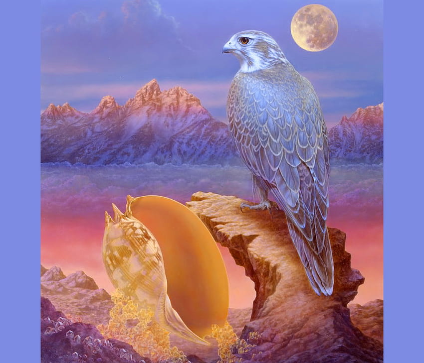 Spirit bird, blue hawk, bird, moon, sea shell, ocean HD wallpaper