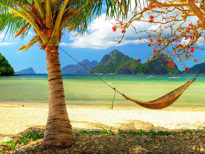 Summer vacation, hammock, palm, vacation, beach HD wallpaper