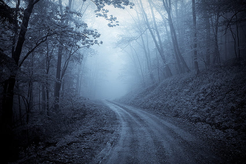 Jalan Biru, malam, bulan, jalan, hutan, gelap Wallpaper HD