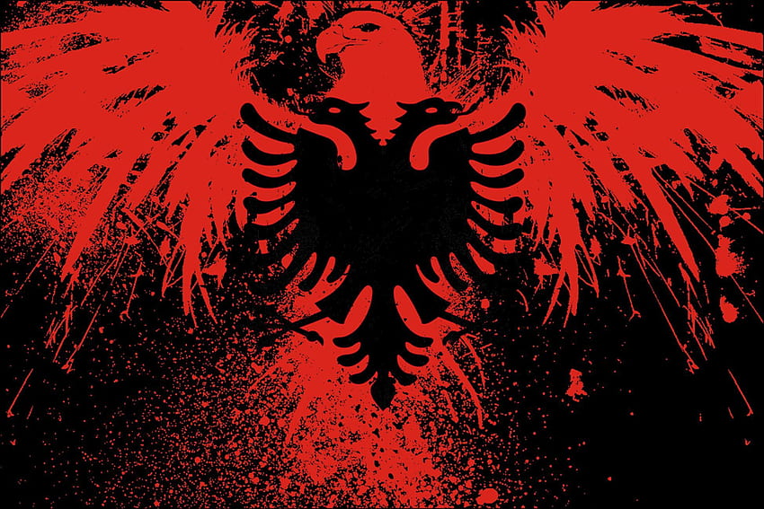 albanese. Aquila Albanese, Lingua Albanese e Albanese, Bandiera Albania Sfondo HD