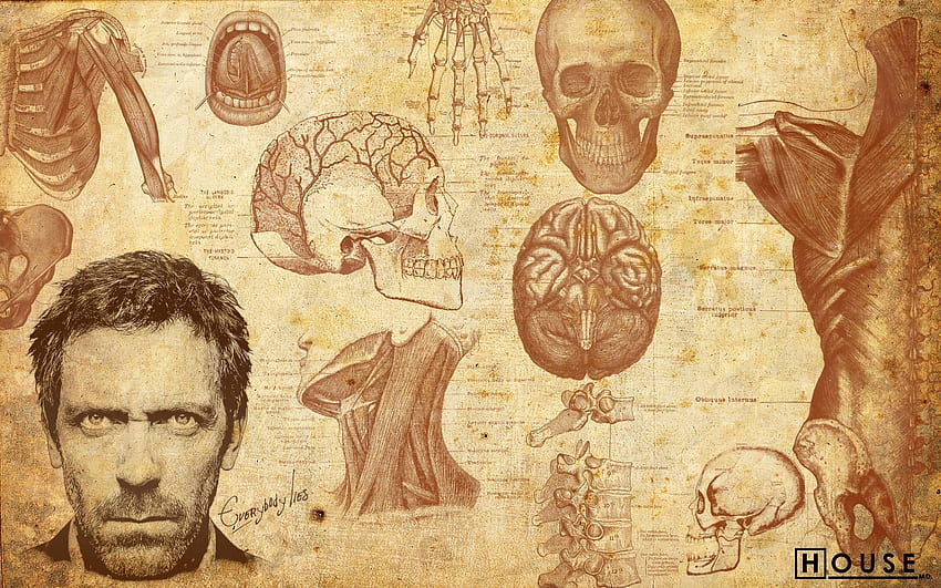 House, M.D. :, Dr House MD HD wallpaper
