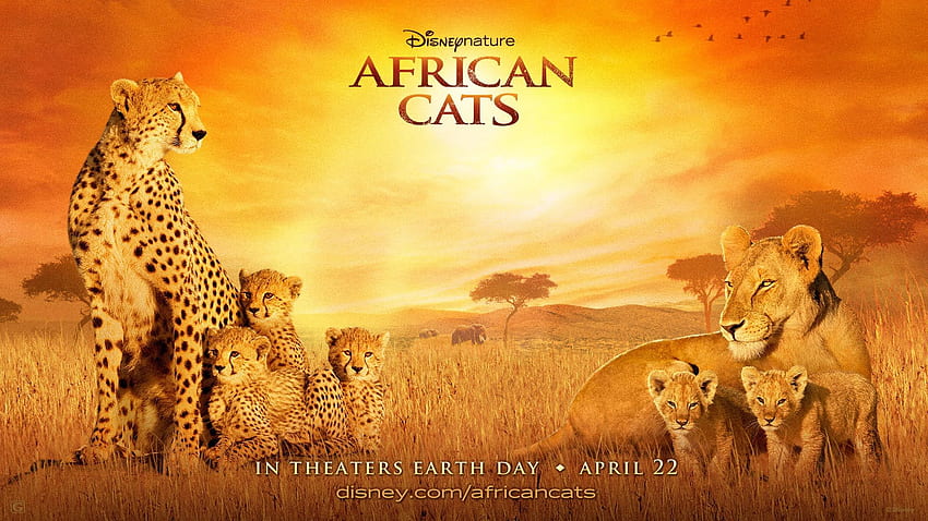 African Cats , Movie, HQ African Cats HD wallpaper