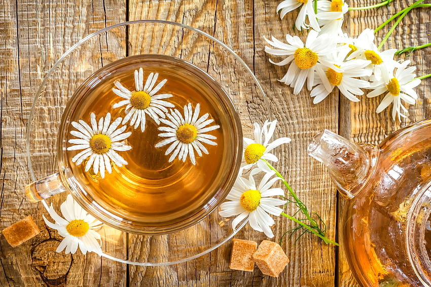 Cup, tea time, petals, flowers, daisy, daisies, tea HD wallpaper | Pxfuel