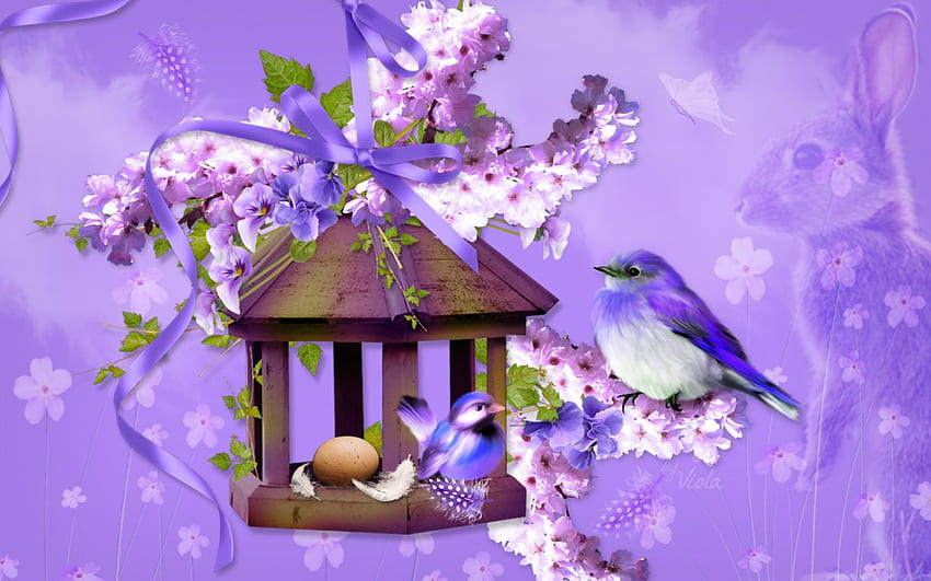 Spring Birdhouse ไข่ ออกแบบ นก ฤดูใบไม้ผลิ บ้านนก ขนนก ผีเสื้อ Viola Tricolor โบว์ อีสเตอร์ ริบบิ้น กระต่าย กะเทย สีม่วง ซากุระ ดอกไม้ ดอกซากุระ วอลล์เปเปอร์ HD