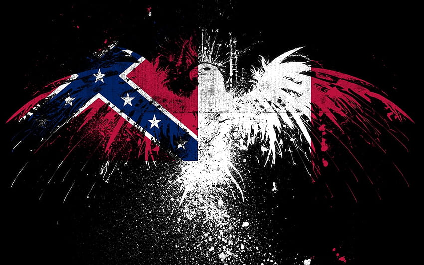 ... confederate flag usa america united states csa civil war rebel ... HD wallpaper