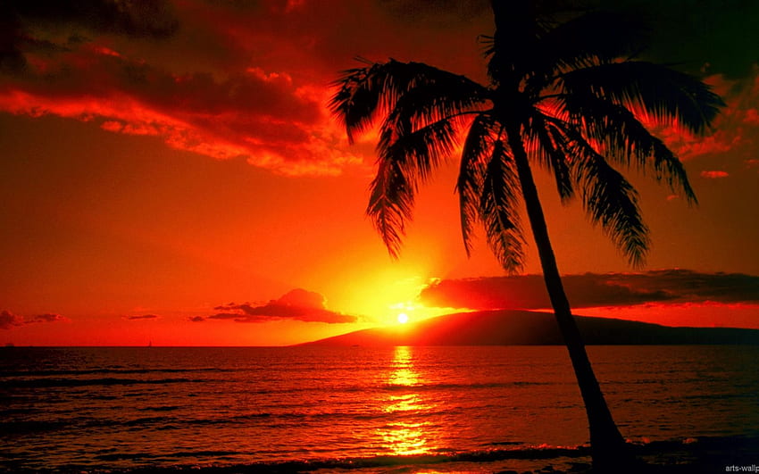 Tropical Paradise Hawaii Maldives Tahiti Islands Beach [] für Ihr , Handy & Tablet. Erkunden Sie den Sonnenuntergang am tropischen Strand. Strand-Sonnenuntergänge, tropisch HD-Hintergrundbild