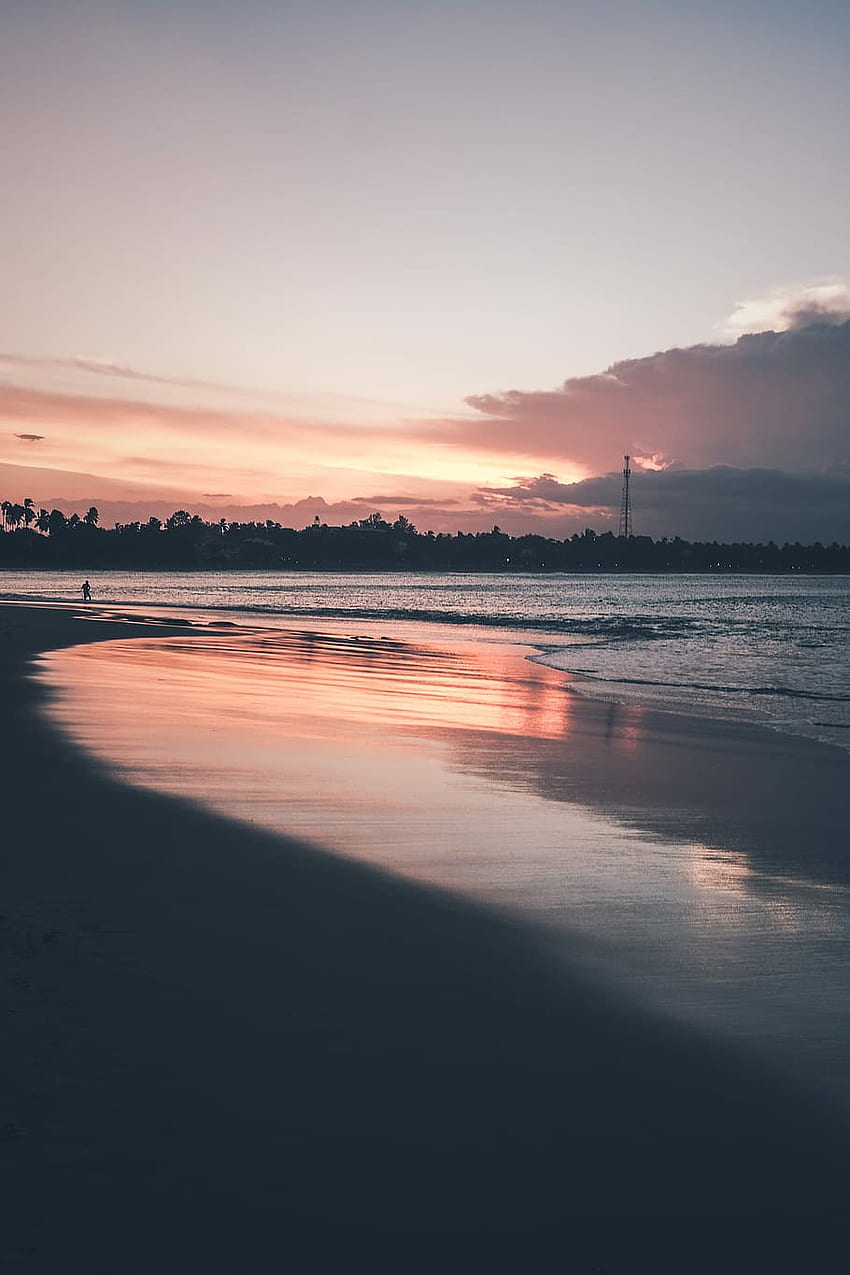 : 日没時の水域、白とオレンジ色の空の下の森の近くの穏やかな水のビーチ HD電話の壁紙