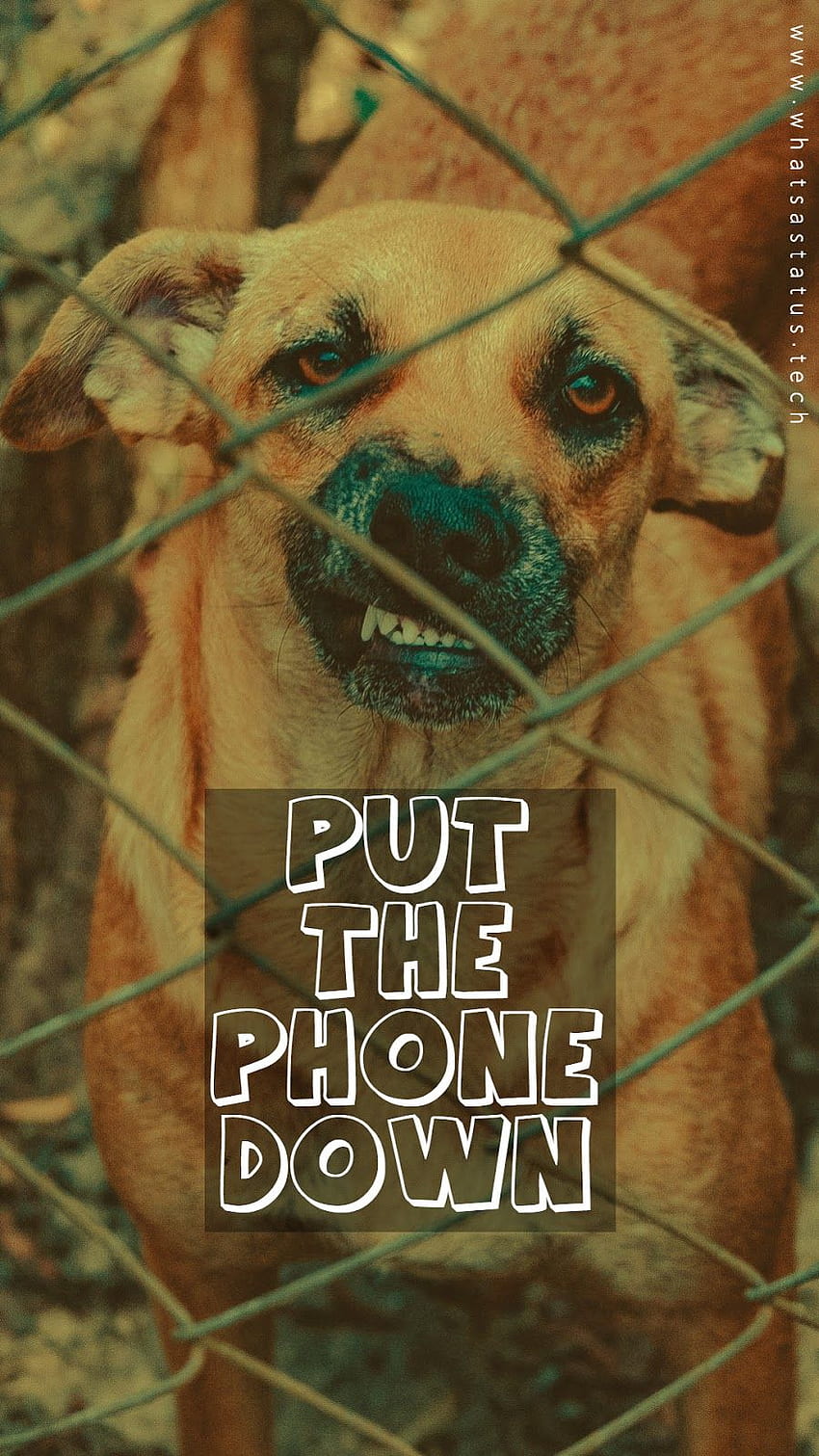 Dont touch my phone -, Put My Down HD phone wallpaper