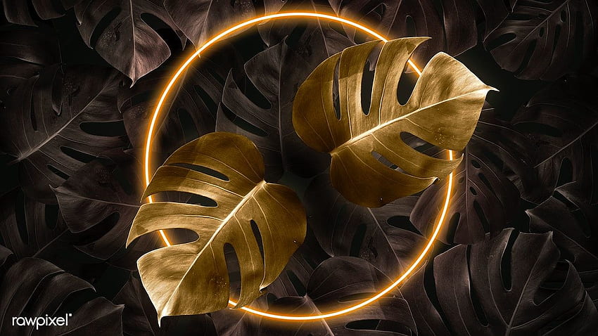 premium psd / z Ramka złotych neonów w projekcie makiety tropikalnej dżungli autorstwa Jubjang o mostera, tropikalne złote neony, tło li. Światło neonowe, światło w Tapeta HD