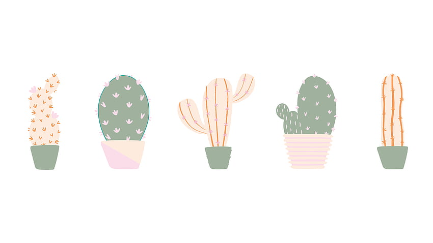 Cactus Background - - - Tip, Pink Cactus HD wallpaper
